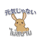 毎日楽しめる ウサギ 日本語タイ語（個別スタンプ：16）