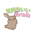 毎日楽しめる ウサギ 日本語タイ語（個別スタンプ：21）