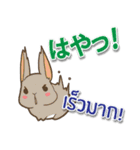 毎日楽しめる ウサギ 日本語タイ語（個別スタンプ：29）