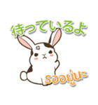毎日楽しめる ウサギ 日本語タイ語（個別スタンプ：31）