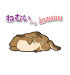 毎日楽しめる ウサギ 日本語タイ語（個別スタンプ：36）