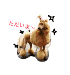 poodleFamily8（個別スタンプ：16）