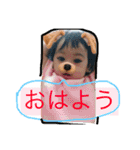 らなごん（個別スタンプ：2）