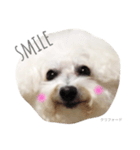 ふわふわどっく（個別スタンプ：1）