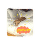 トリ氏（個別スタンプ：5）