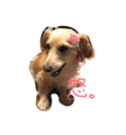 トリ氏（個別スタンプ：8）