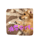 トリ氏（個別スタンプ：12）