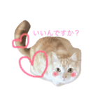 スーニャンスタンプ（個別スタンプ：1）