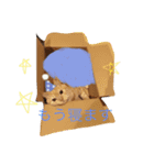 スーニャンスタンプ（個別スタンプ：8）