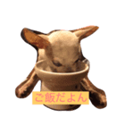 ぼくの名前？ぼくだよ！Boku！（個別スタンプ：7）