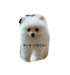 moco01（個別スタンプ：1）
