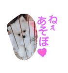 moco01（個別スタンプ：2）