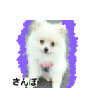 moco01（個別スタンプ：3）