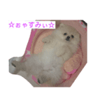 moco01（個別スタンプ：4）