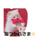 moco01（個別スタンプ：5）
