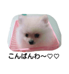 moco01（個別スタンプ：7）