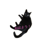 ごまむぎ2017（個別スタンプ：4）