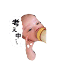 コウスケスタンプ1（個別スタンプ：3）
