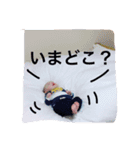 コウスケスタンプ1（個別スタンプ：9）
