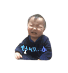さくまの日常（個別スタンプ：8）