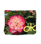 薔薇deスタンプ（個別スタンプ：9）