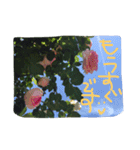 薔薇deスタンプ（個別スタンプ：13）