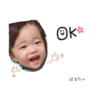 はるたん( 日常用語 )（個別スタンプ：4）