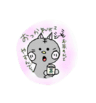 何かと使えるはず。ねこさん。（個別スタンプ：13）