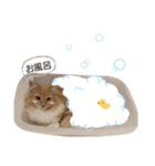 しぇりたん赤たん期（個別スタンプ：19）