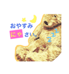 茶トラのとらくんのすたんぷです。（個別スタンプ：5）