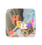 茶トラのとらくんのすたんぷです。（個別スタンプ：11）