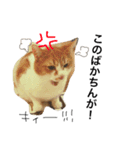 ぴーふく2（個別スタンプ：7）