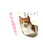 ぴーふく2（個別スタンプ：8）