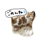 ぴーふく2（個別スタンプ：13）