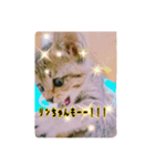 rinchan::（個別スタンプ：4）