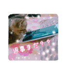 rinchan::（個別スタンプ：5）