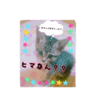 rinchan::（個別スタンプ：7）