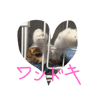 のりたまの日常（個別スタンプ：7）