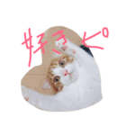 のりたまの日常（個別スタンプ：8）