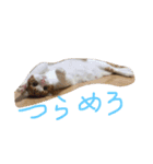 のりたまの日常（個別スタンプ：14）