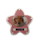 Riku and Ryu stamp（個別スタンプ：1）