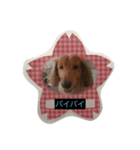 Riku and Ryu stamp（個別スタンプ：8）