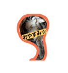 モモンガ②（個別スタンプ：2）