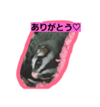 モモンガ②（個別スタンプ：4）