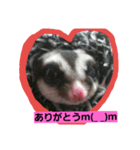 モモンガ②（個別スタンプ：7）