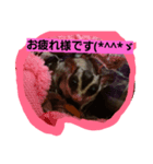 モモンガ②（個別スタンプ：8）