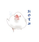 いやされ白文鳥（個別スタンプ：1）
