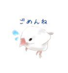 いやされ白文鳥（個別スタンプ：4）