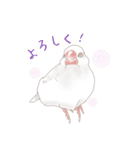いやされ白文鳥（個別スタンプ：5）