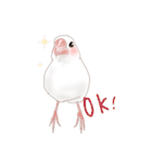 いやされ白文鳥（個別スタンプ：6）